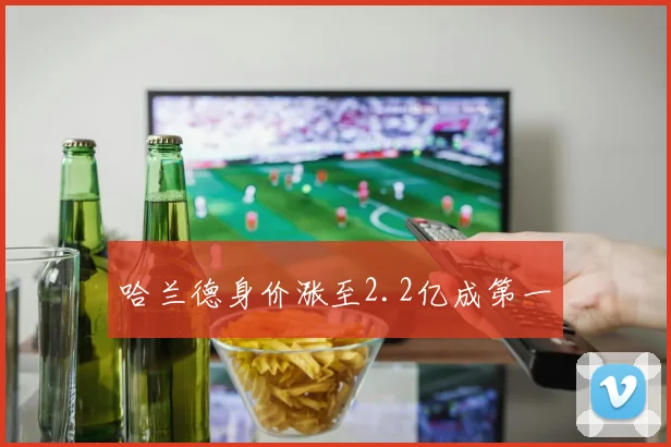 哈兰德身价涨至2.2亿成第一